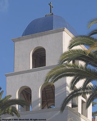 Bell Tower Ladder