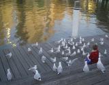 Lord of the Gulls