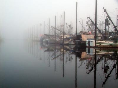 South Harbor, Petersburg