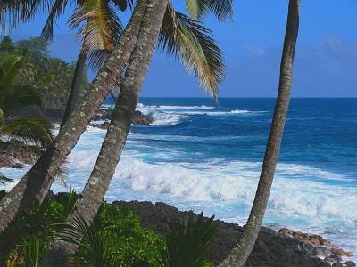Puna Shoreline
