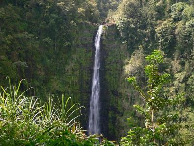 Akaka Falls #2