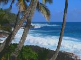 Puna Shoreline