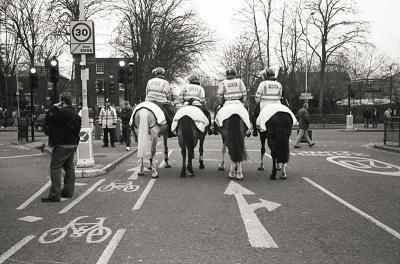 Horse Arse Parade
