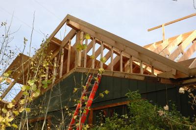 Roof Construction at home by Bill Crampton and Affiliates DSC_0041.jpg