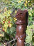 squirrel walking stick carved by Steve Esterby DSCN5183.jpg