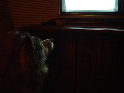 DSC00251GilTV.jpg