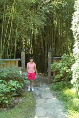 Entrance to the bamboo forest