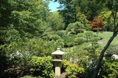 Japanese Garden III