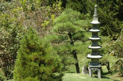 Japanese Garden V
