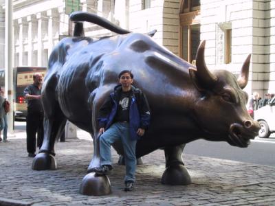 the bull.jpg