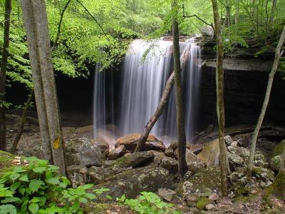 Big Laurel Falls 4