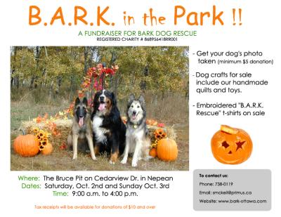 barkinthepark_print.jpg