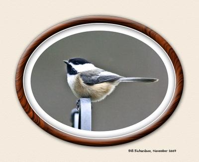 chickadee4pbase.jpg