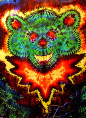 Acid Bear