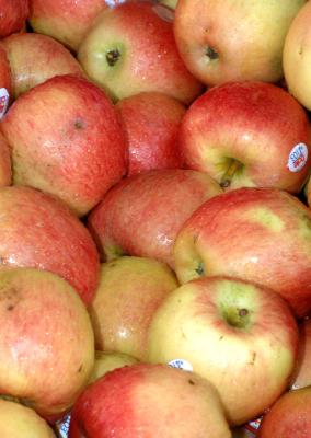 Apples