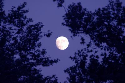 Full Moon