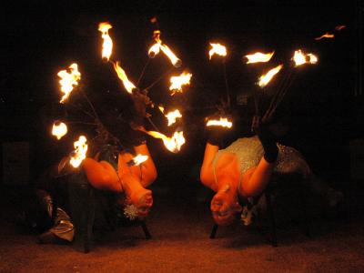 Facing Fire 4