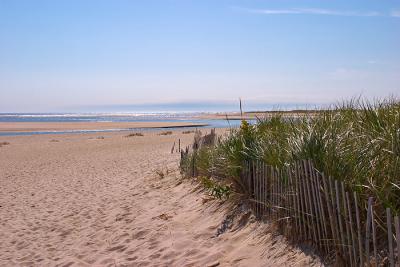 Dunes at Chatham Light