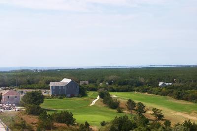 View From Top of Cape Cod Light Toward Provincetown