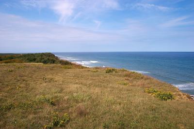 Coast at Cape Cod Light