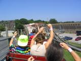Zippin Pippin3.jpg