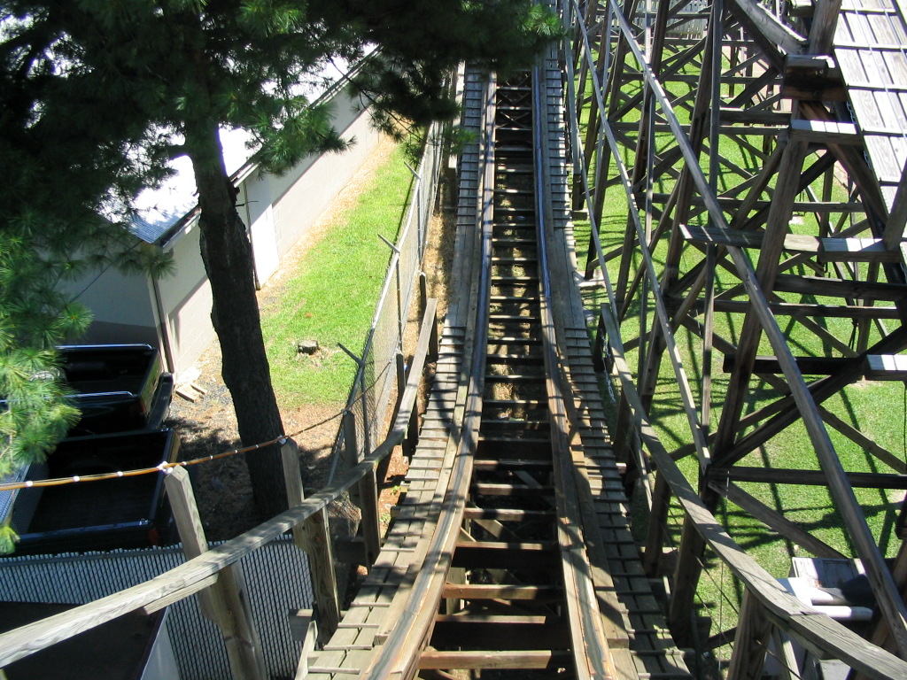 Zippin Pippin5.jpg