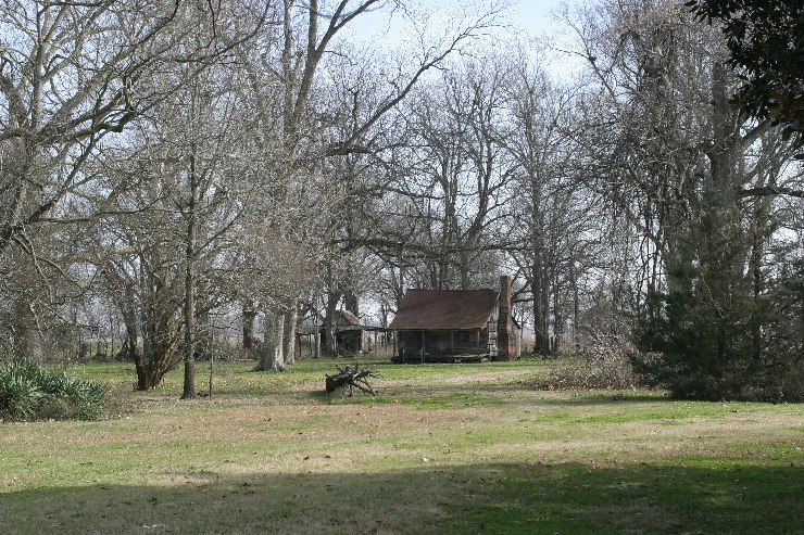 Nitta yuma cabin.jpg