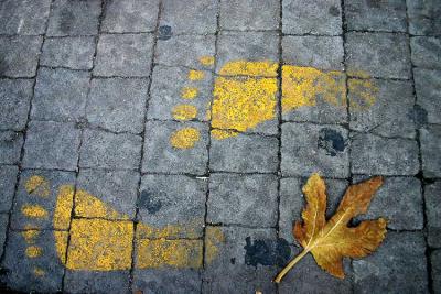 Footsteps And A leaf