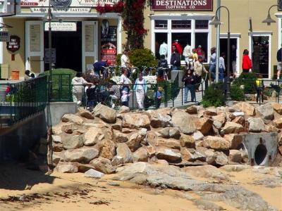 u36/zensimple/medium/15947031.canneryrow03.jpg