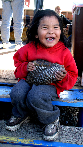 Mammoth tooth