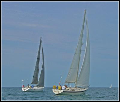DSCN0529.jpg