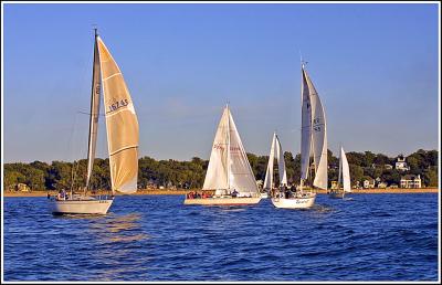 IMG_8906.jpg