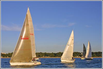 IMG_8910.jpg
