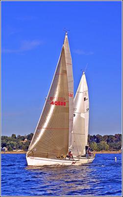 IMG_8909.jpg