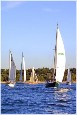 IMG_8914.jpg