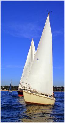 IMG_8925.jpg