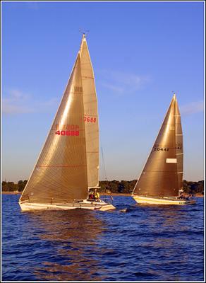 IMG_8941.jpg