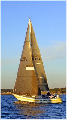 IMG_8946.jpg