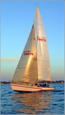 IMG_8968.jpg