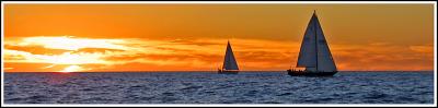IMG_8984.jpg