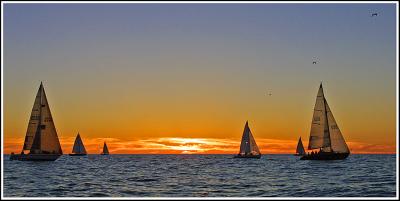 IMG_8990.jpg