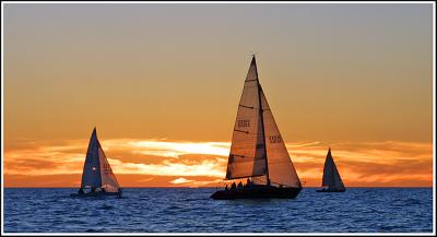 IMG_8991.jpg