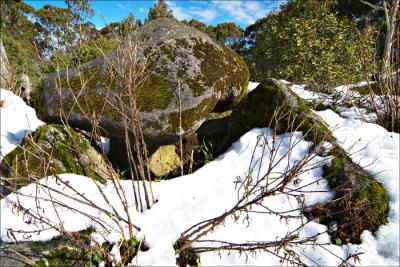 Mount Donna-Buang