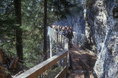 Bridge above Neuschwanstein