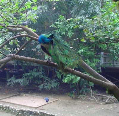 DSC00543.jpg