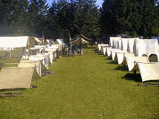 Dog Tents