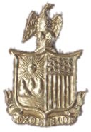 NY Excelsior badge