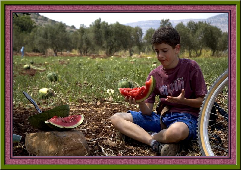 Watermelon on our path