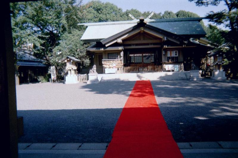 Tapis rouge  la Meiji Shrine de Yoyogi Park