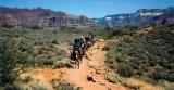 Grand Canyon - mules on the Bright Angel trail